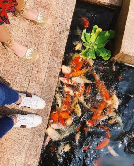 ���ĵϷֵ�����Ǯ��һ������Ǯ ���ĵ���ôһ�����ɹ���