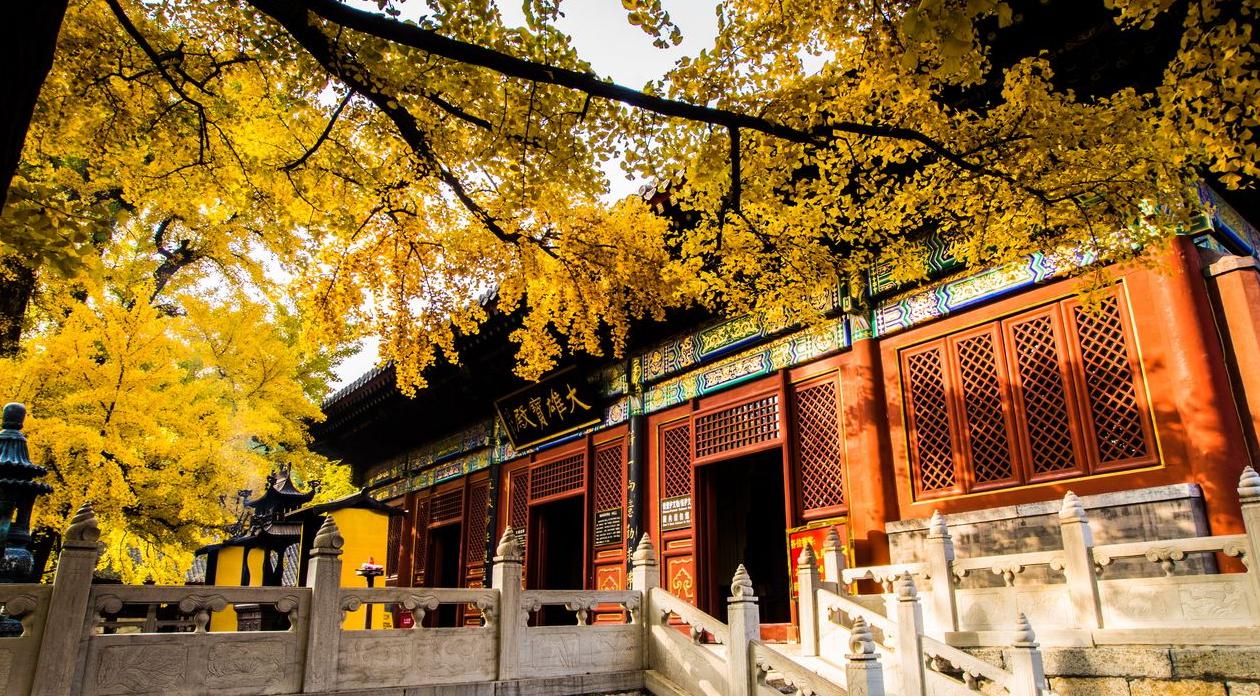 ��������ʲô������ ˵Ů��ȥ��������Ը������