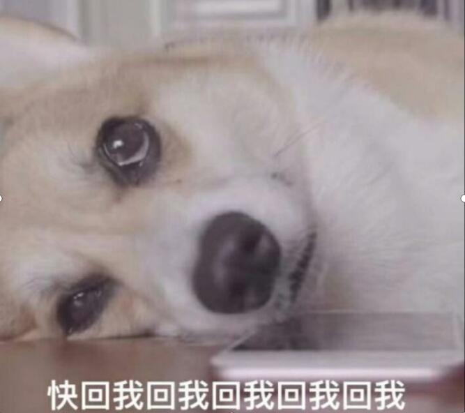 ���ڰ���������ʲô��˼ ��Ϊʲô��������