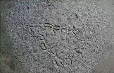 ��ѧ���ͻ�ɷ�Ľ�ӡ ��ɷ�Ľ�ӡ�������