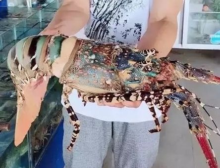 �л�������Ϻ���Գ��� �л�������Ϻ�۸����