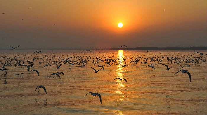 �й�����Ǩ��·��ͼ ��������Щ����