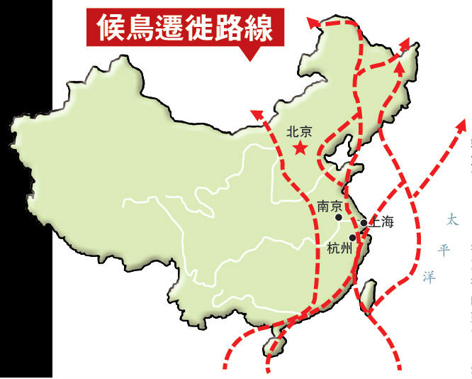 �й�����Ǩ��·��ͼ ��������Щ����