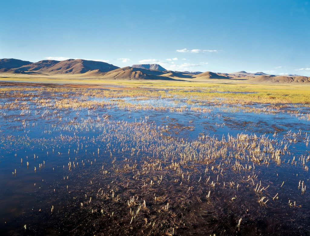 �й�����Ǩ��·��ͼ ��������Щ����