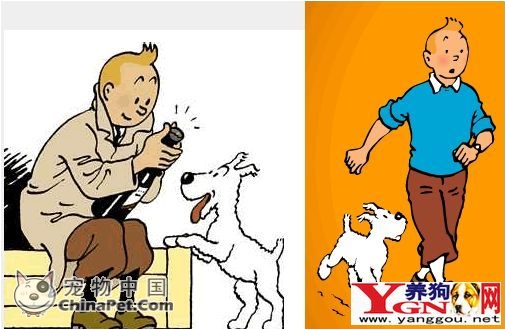 �²����ںͶ����Ա���Ƭ �²���������Ů�������ع�