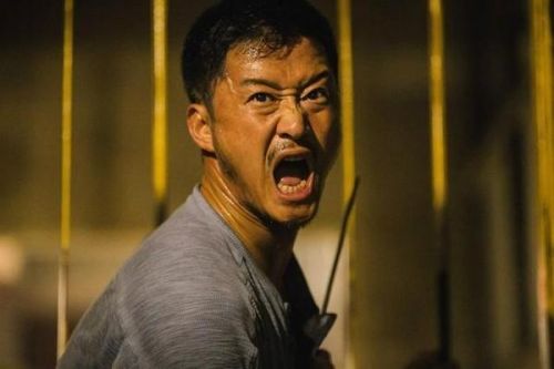 甄子丹抽释小龙的视频 甄子丹为何看不起吴京