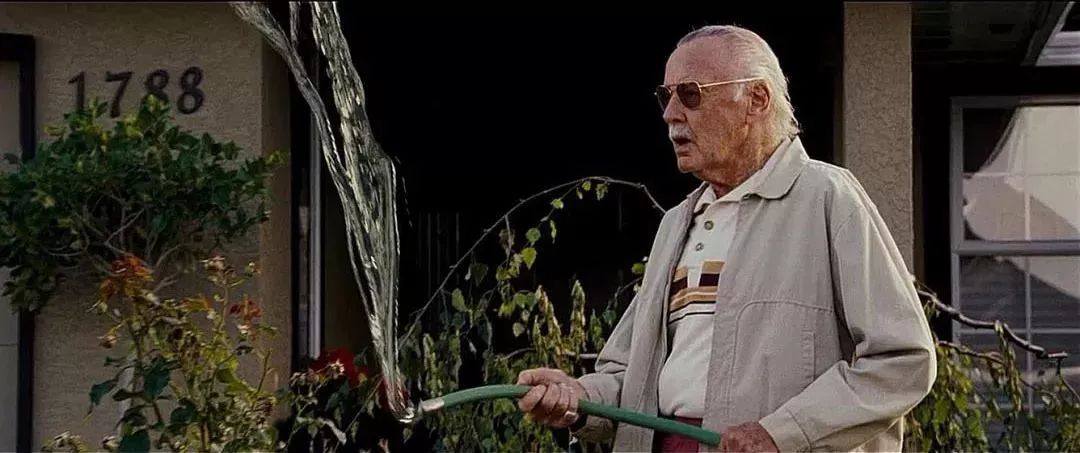 ˹̹��Ϊʲô���� �����й�Ѫͳ��