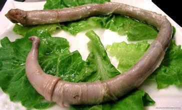 ţ������ɶ���� ָ�þ���ţ��