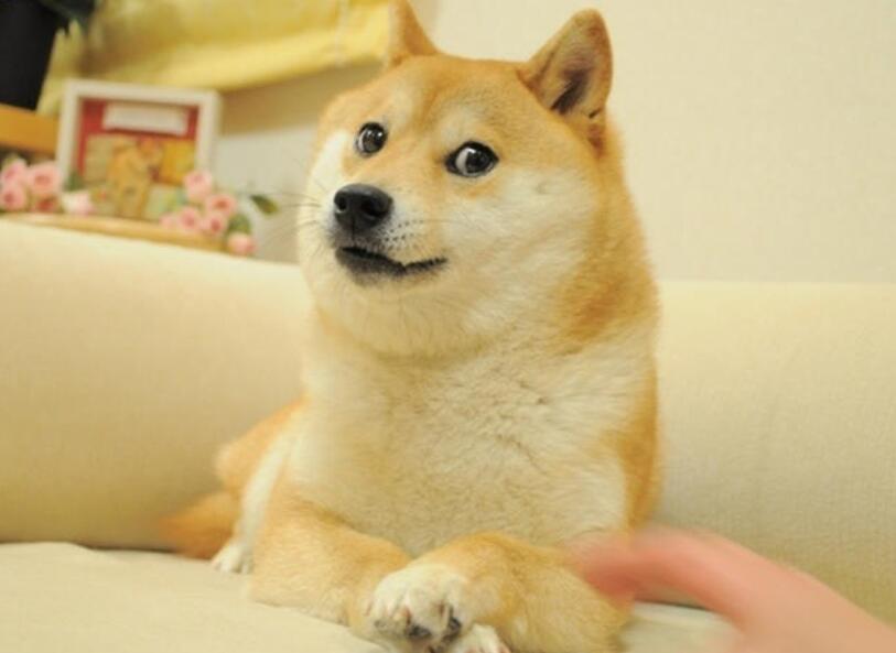 ��Ҫ����ͷ��ʲô�� ϲ������ͷ�������������