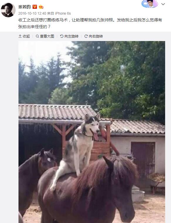 ��������ʿ����ʲô�� ������Ϊʲô�г���