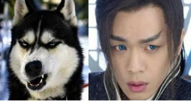 ��������ʿ����ʲô�� ������Ϊʲô�г���