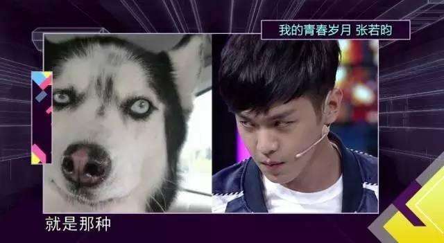 ��������ʿ����ʲô�� ������Ϊʲô�г���