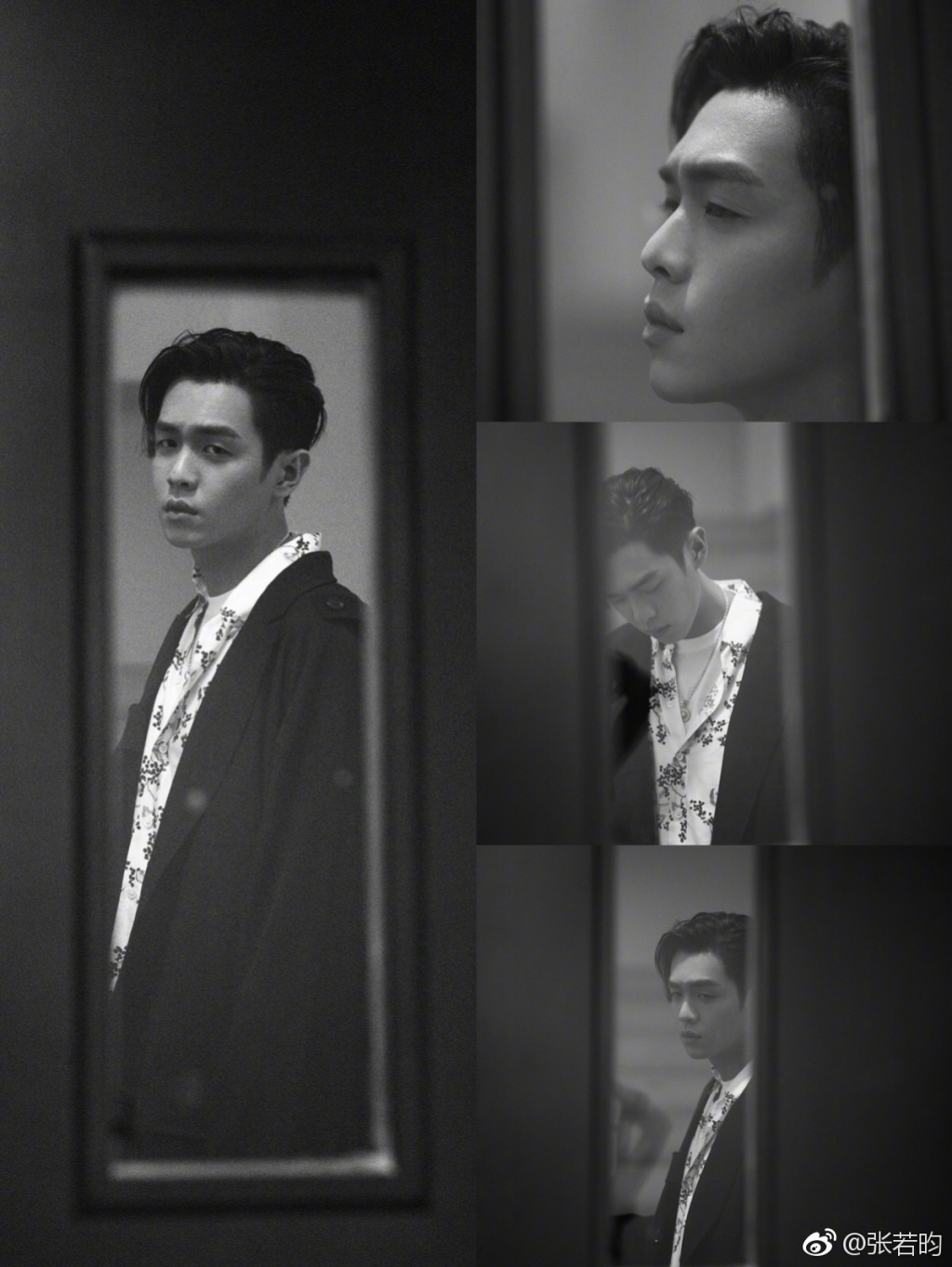 ��������ʿ����ʲô�� ������Ϊʲô�г���