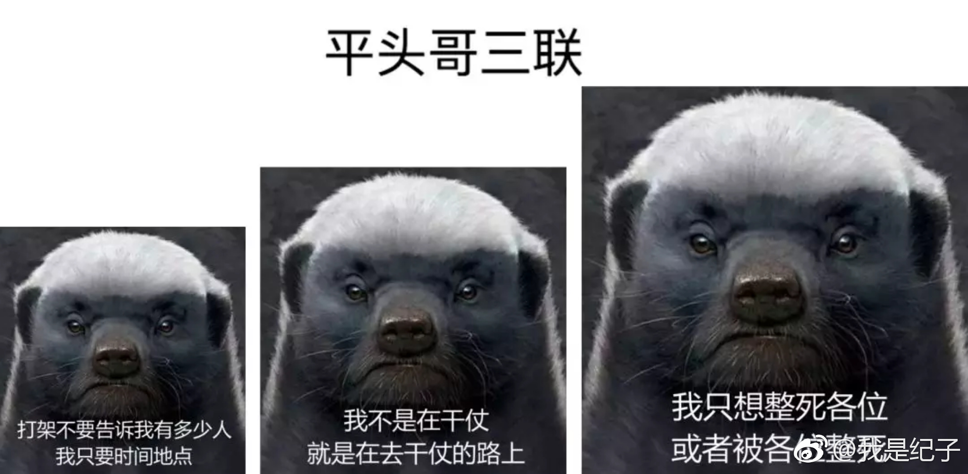 �й��ļҶ���԰����� ��⵰��Լ�����������ƵΣ��������