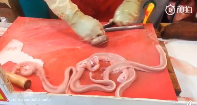 ��������ʲô���� �������ó���