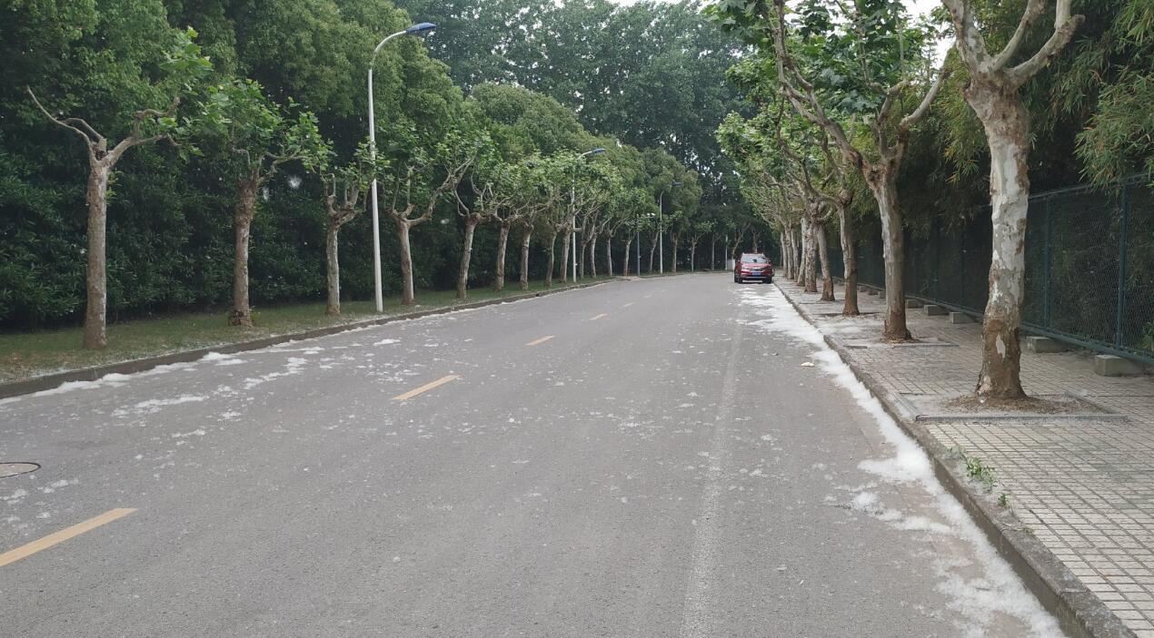 ����Ϊʲô���������� ����������Ŵ���һ��С����