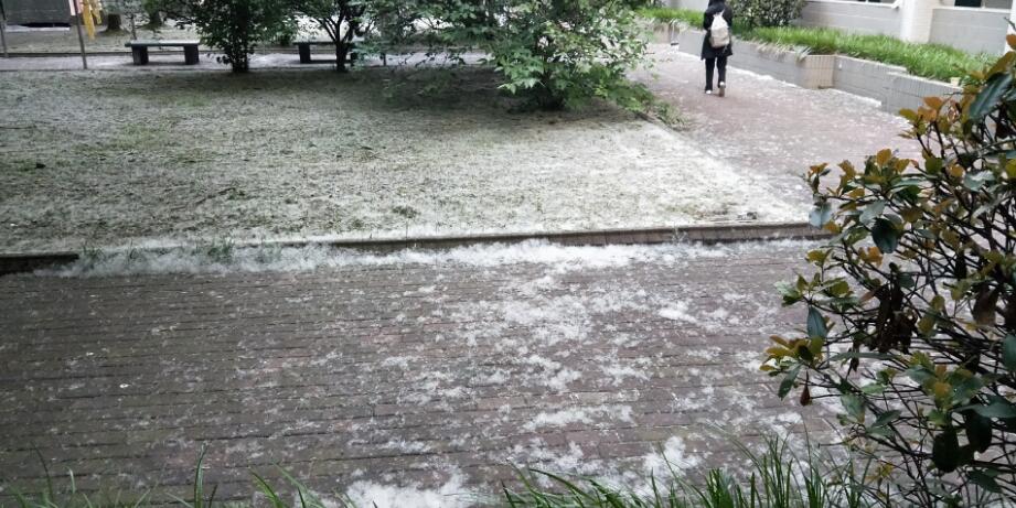 ����Ϊʲô���������� ����������Ŵ���һ��С����