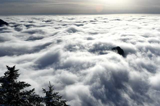 ����ɽ��Ϊʲô�رղ������� ��ȥ��һ������Σ�յ�����