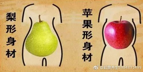 ����ͮ���ı�������� ����ƻ����������