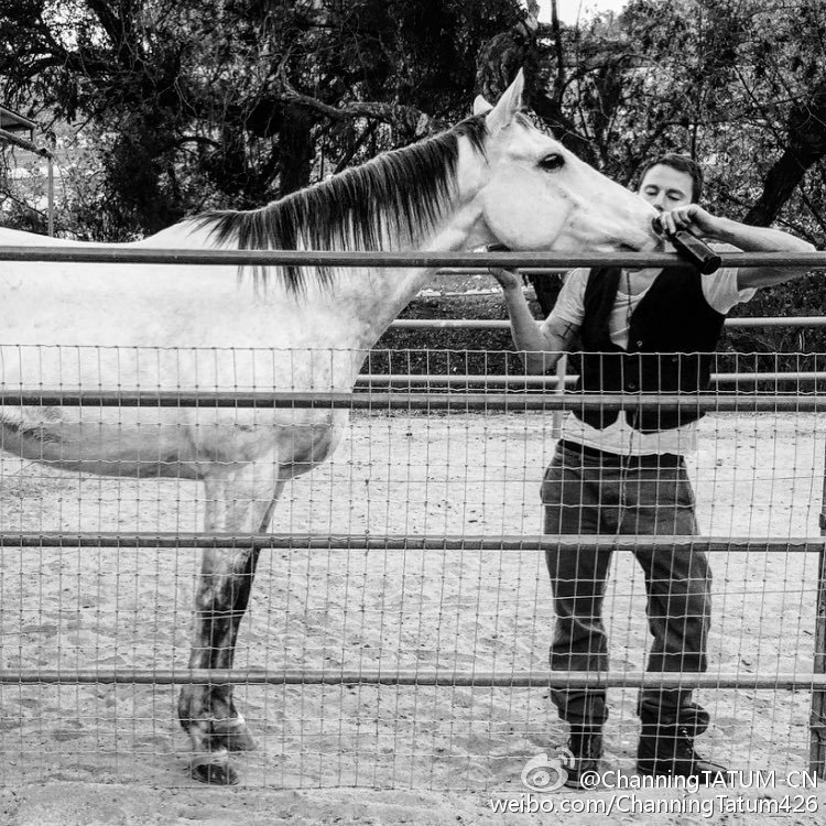 ������ͼķǮ�ϰ��ǳƵ����� ������ͼķƬ���������������