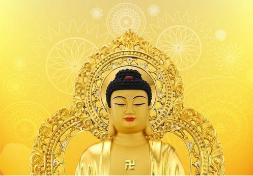 �����µ�����������ʲô�ۼ� ������������