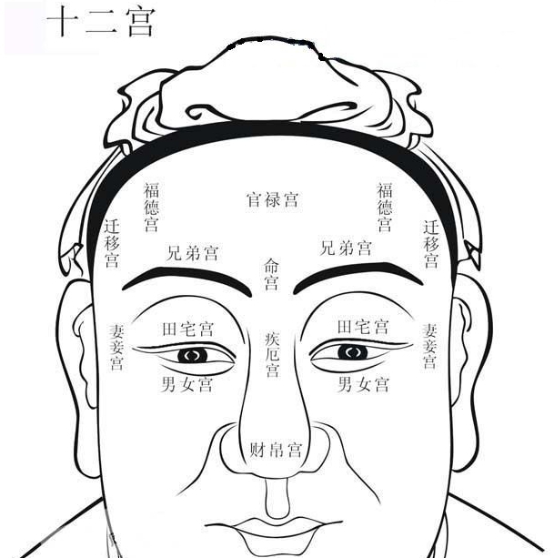 �����µ�����������ʲô�ۼ� ������������