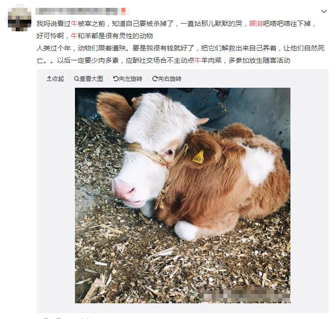 ţ������Ŀ��Կ������� �����˵��۾���ᷢ��ʲô