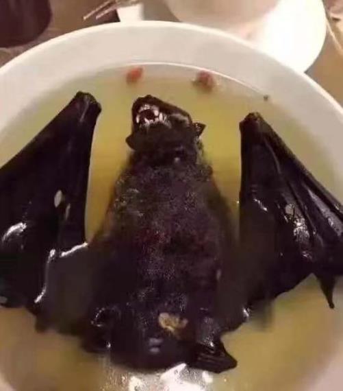 ������׳��Σ���� �������ϲ�ǧ���ֲ���