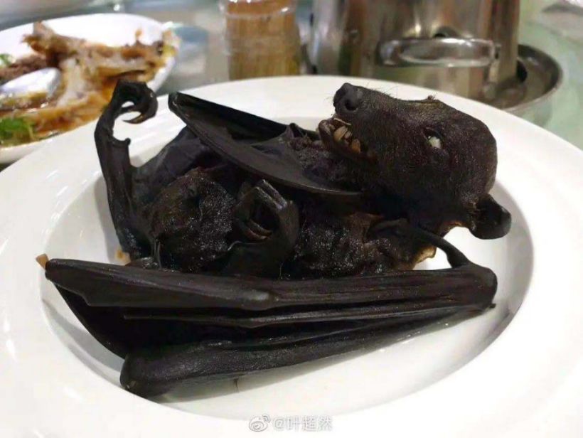 ������׳��Σ���� �������ϲ�ǧ���ֲ���