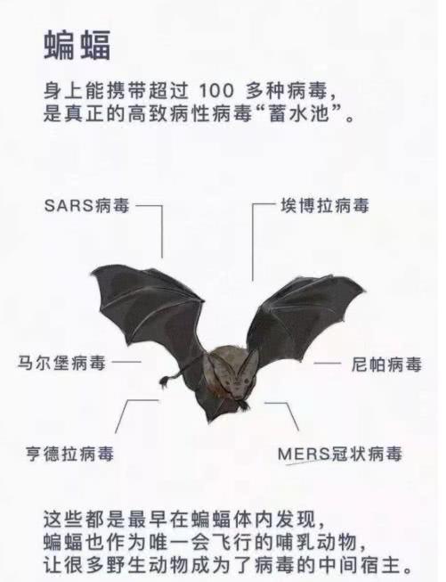 ������׳��Σ���� �������ϲ�ǧ���ֲ���