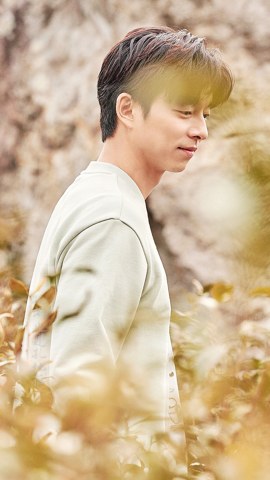 孔刘回应金高银恋情 和金高银现实没有在一起