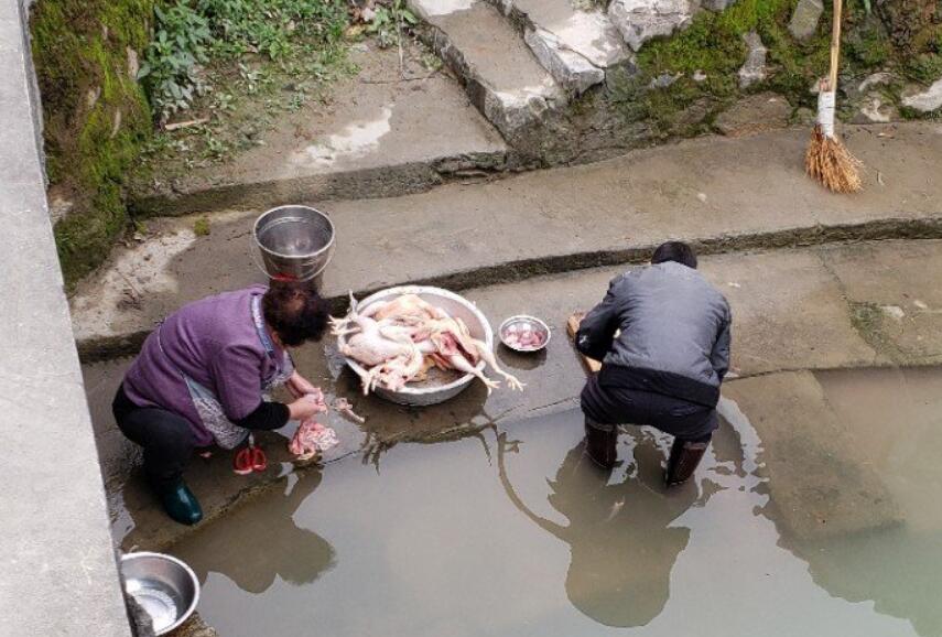 ɱ��ΪʲôҪ�����Ѫ ������Ѫ��׼ȷλ��������