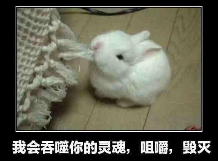 ����԰�����̸ʲô��˼ ��ʲô�� ����