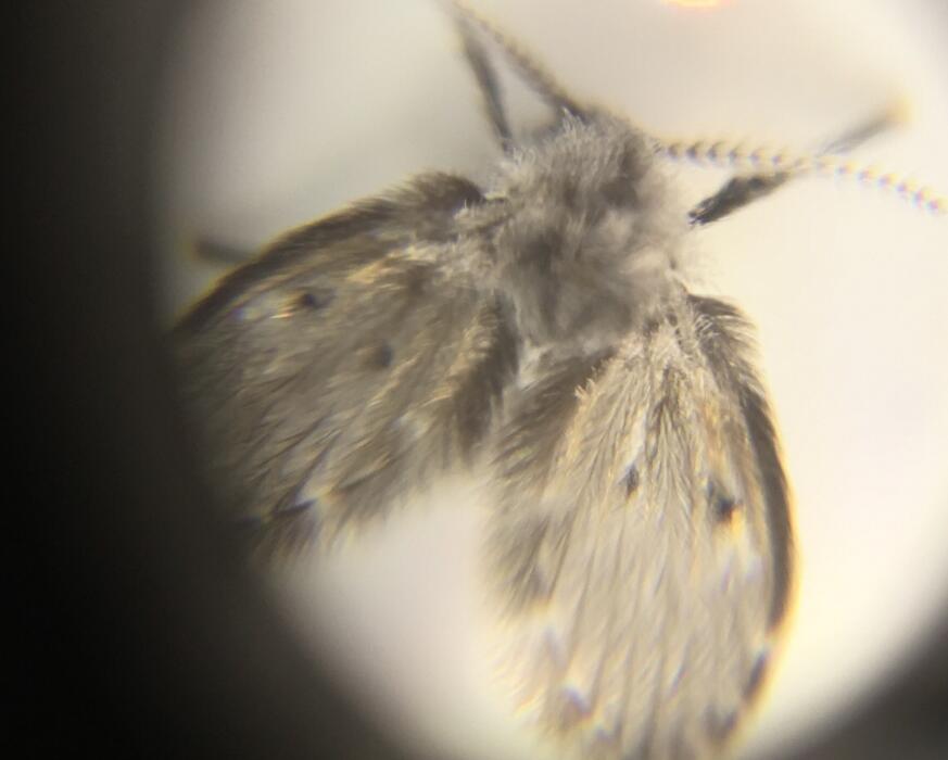 �������С�ɳ�ж�� �����������Ч�ķ�������