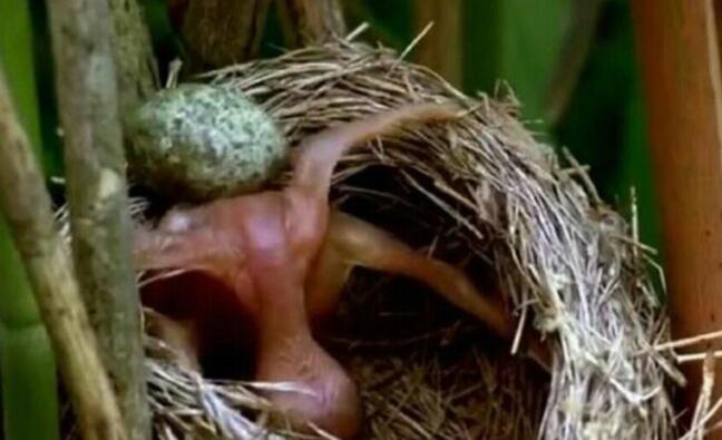 �ž���Ϊʲô��˶�����ô�� �ž��񲻻�������