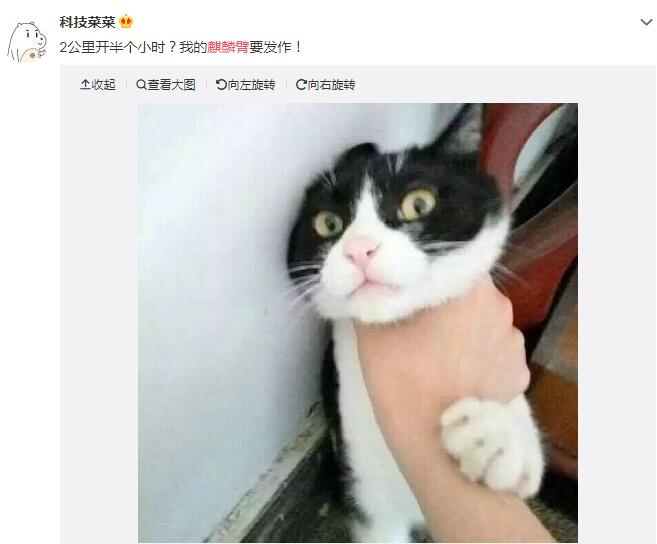 ���˵��������ɶ��˼ ����۷�����ʲô��˼