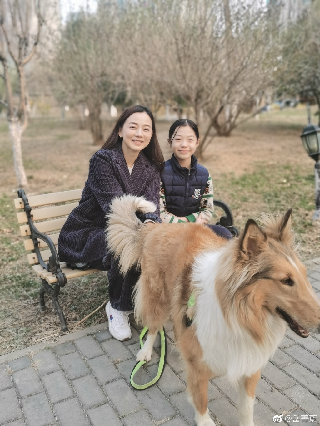 ��ݼε������Ķ���� ���Ϲ���˭