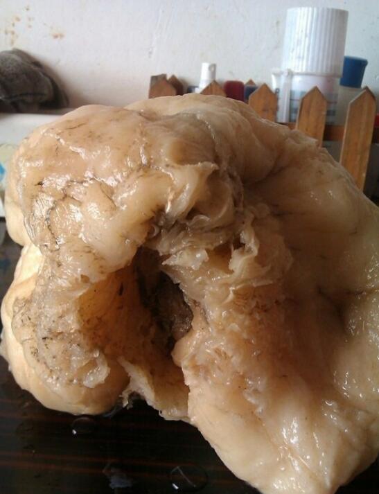 ���������ҵ�Ұ��̫�� Ұ��̫����ʲô���ӵ�ͼƬ