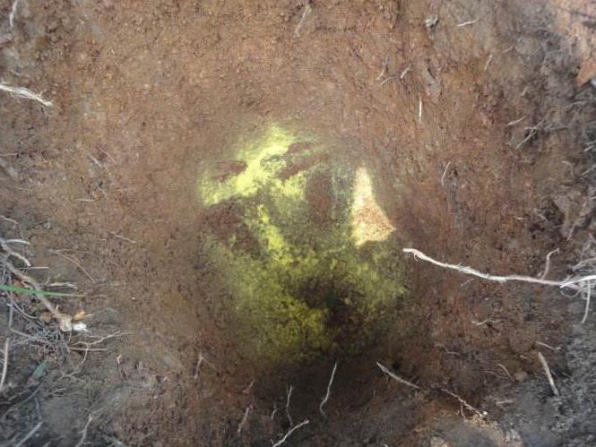 ��������ʲô��˼ ���������˲�������