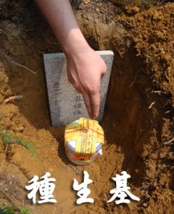 ��������ʲô��˼ ���������˲�������