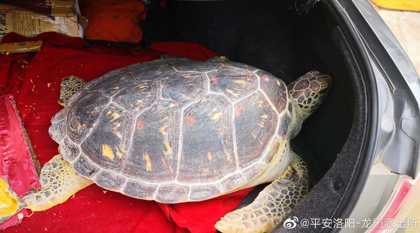 Ů�˴������ʲô���� ����裼�����