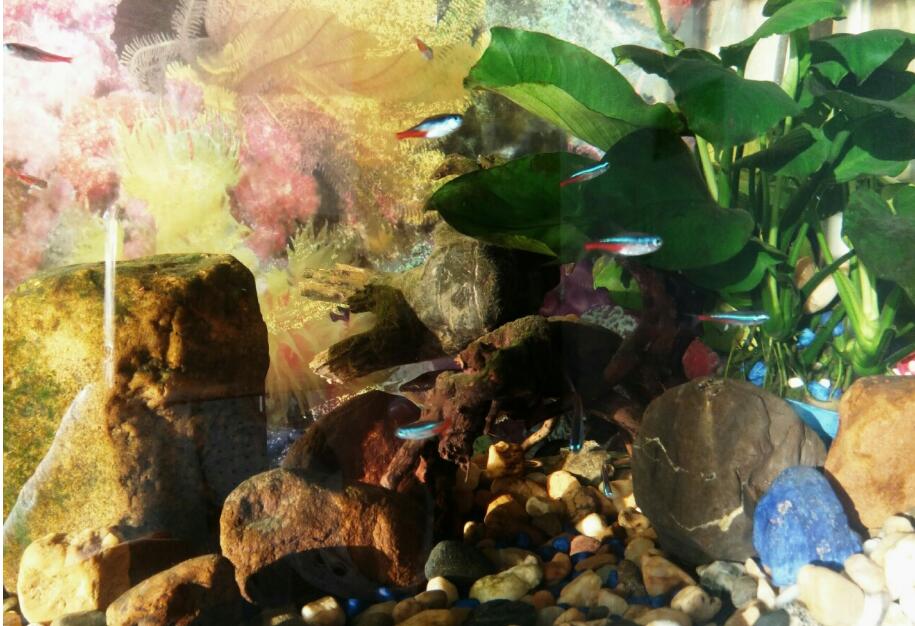 ���������ʲô�������� �������㰮��ʲô