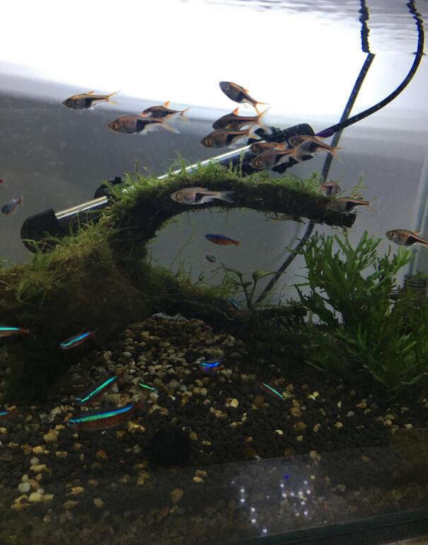 ���������ʲô�������� �������㰮��ʲô