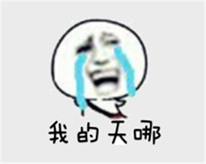 ���� �����ϵļ������� �������齫ĥ��