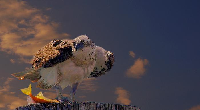 ����ܵ�����ص����� צ�����������ж��