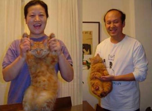 �����ǺͲ����м������� ����Ϊʲô���͹�����