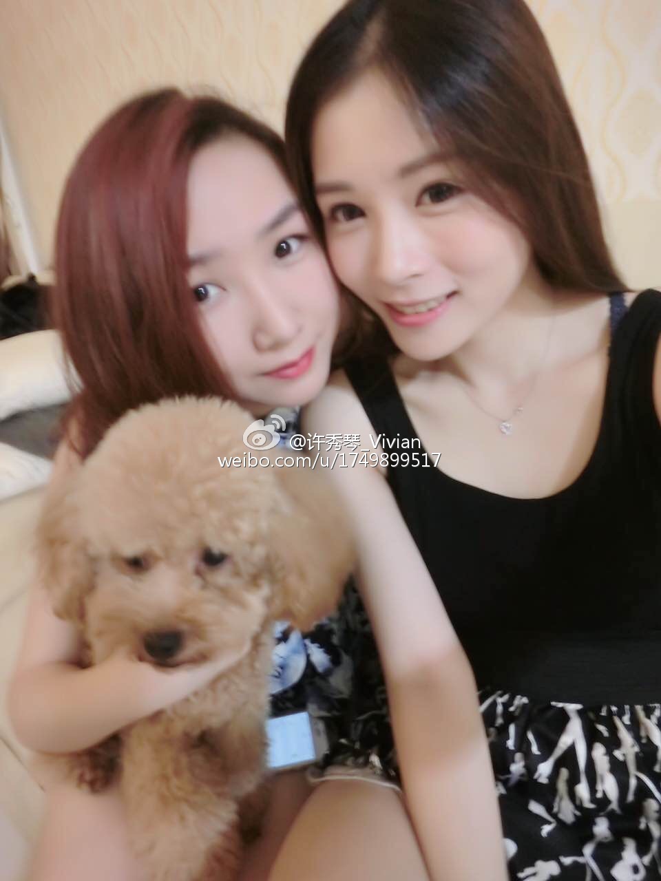 �ǳ�������������״��ν������ ���Ƿǳϵ�����