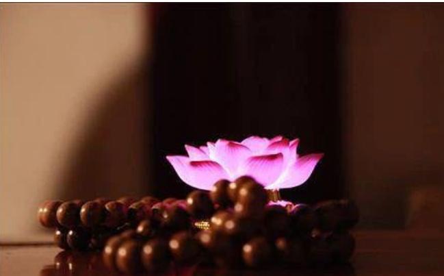 ��˵�ŷ��ö��˵��˾���ʧ����ļٵ� Ϊʲô���Խ�ߵ���Խ�ŷ�