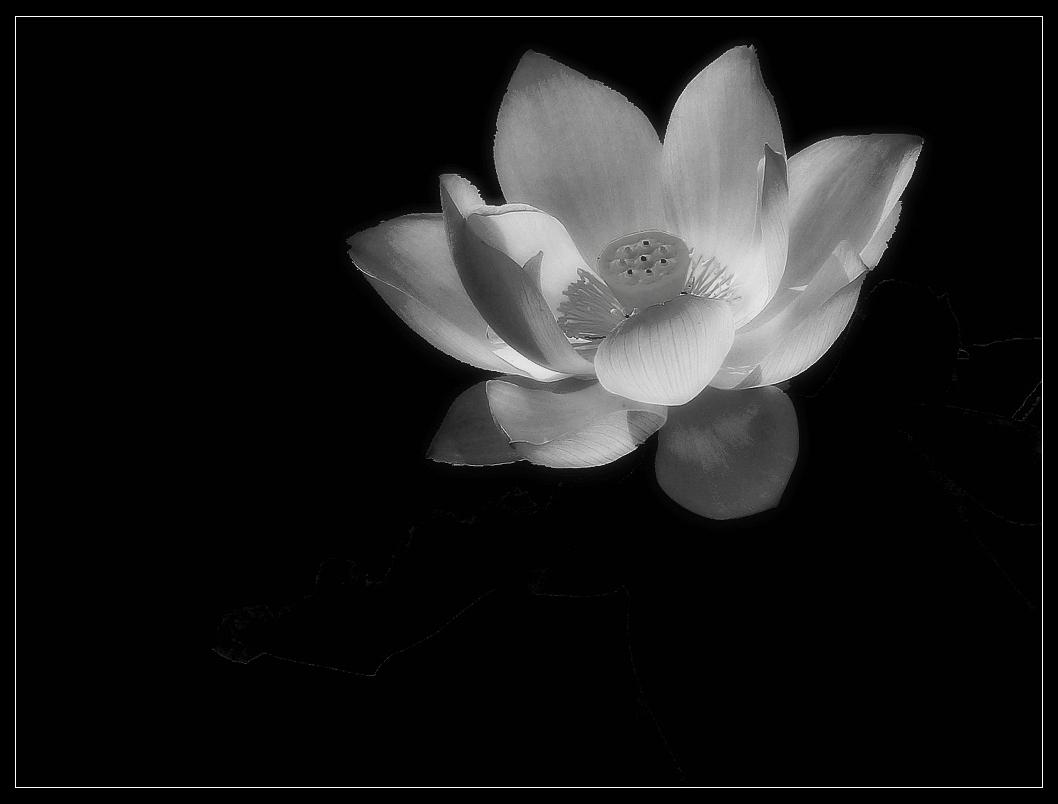 ͷ������ô��� ͷ���ǵ�������ֽ���ǵ�������ֽ