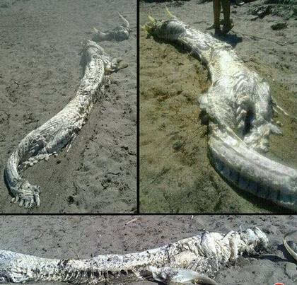 �����ϵ�����������Ƭ ���ڳ�ǧ������Ȼ�����ɱ��